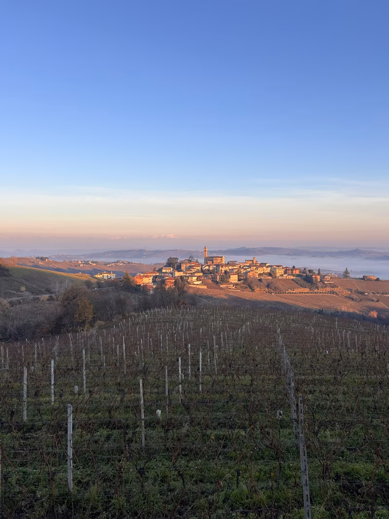 Villa Bella Vista - Villa Esclusiva nei Vigneti con Piscina Riscaldata 8
